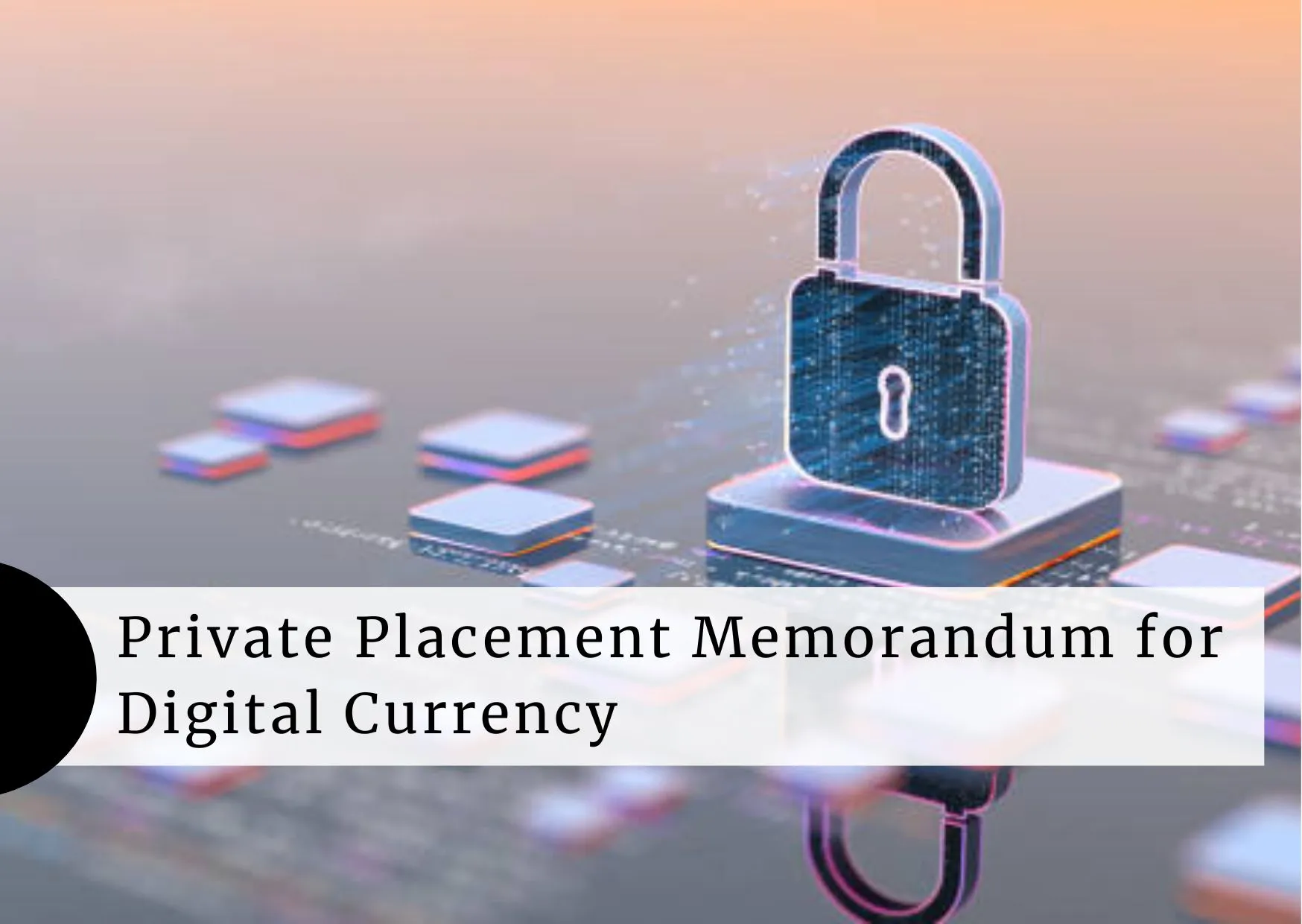 Private-Placement-Memorandum-for-Digital-Currency